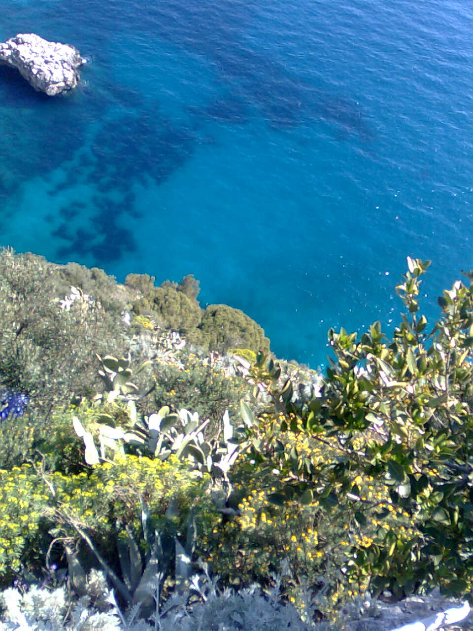 Capri