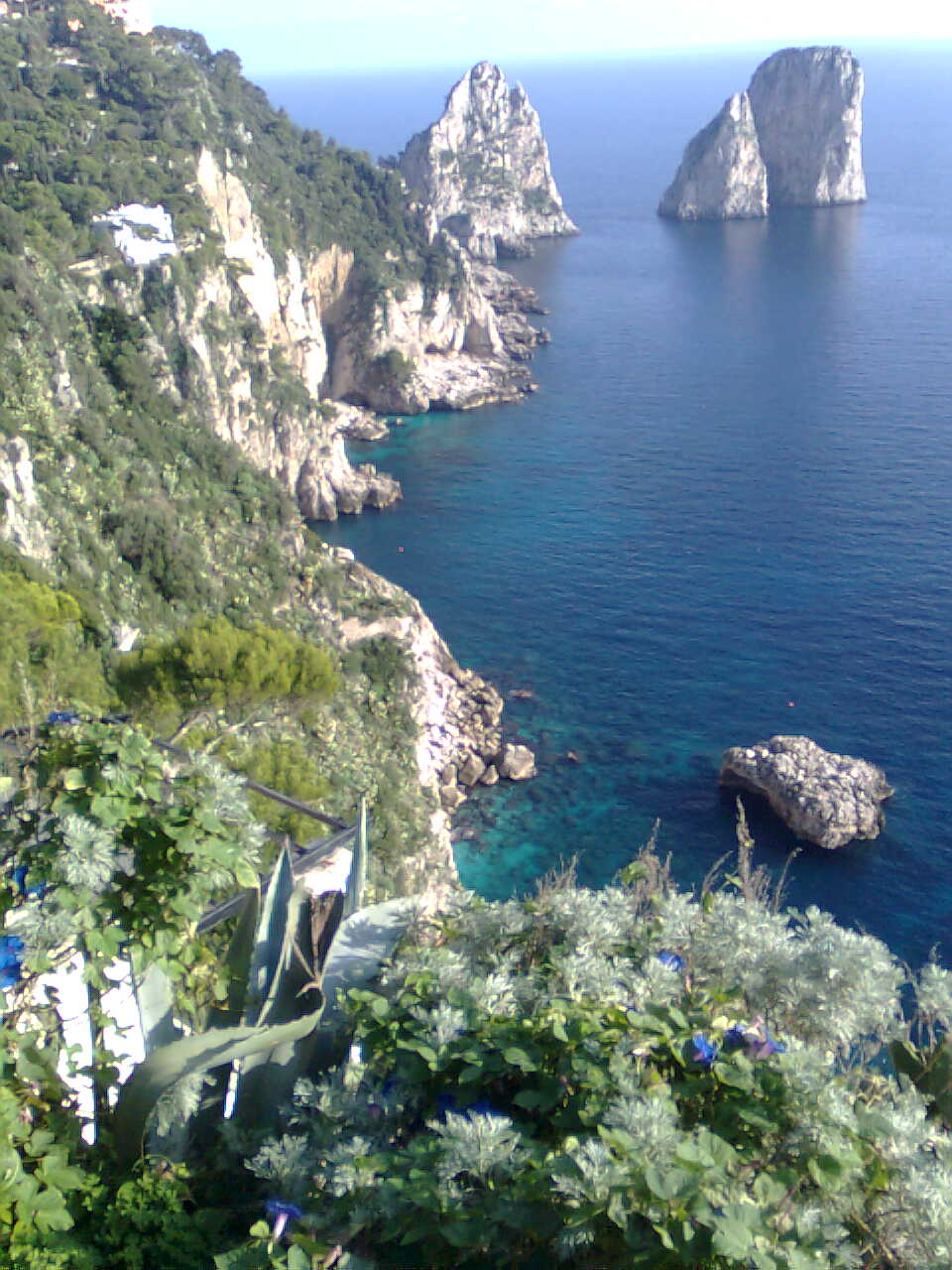 Capri