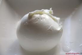 mozzarella